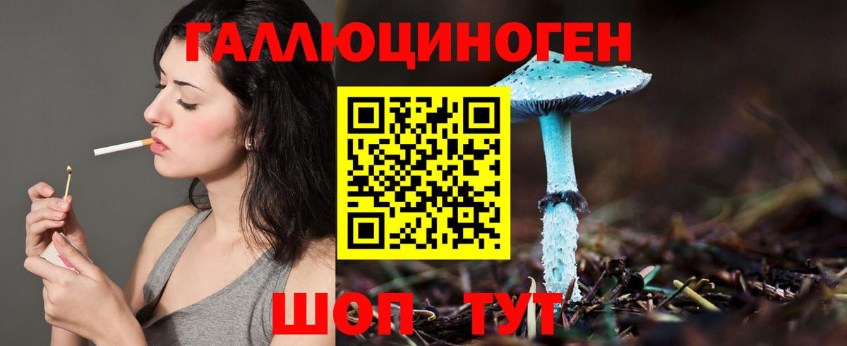 Псилоцибиновые грибы мицелий Донецк
