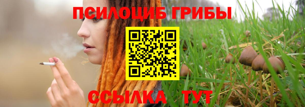 Псилоцибиновые грибы Magic Shrooms  Вход с VPN  Донецк 